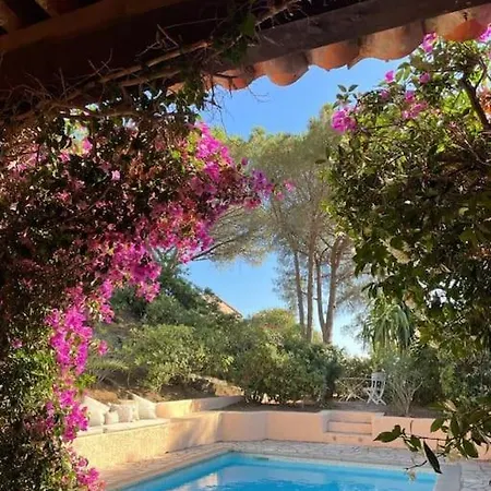 In Gigaro Met Zwembad Holiday home