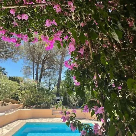 In Gigaro Met Zwembad Holiday home *